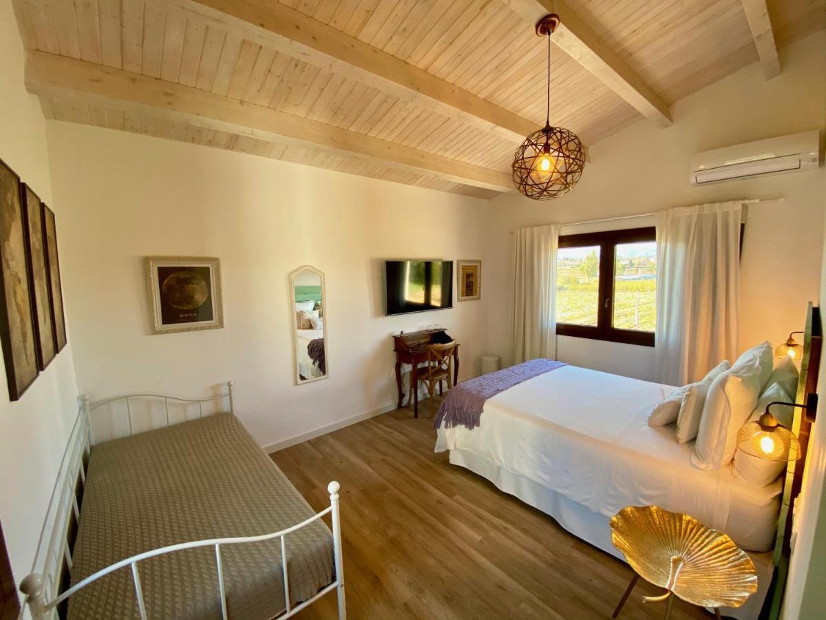 Bed & Breakfast Wine & Cooking Penedes Pla del Panades Екстер'єр фото
